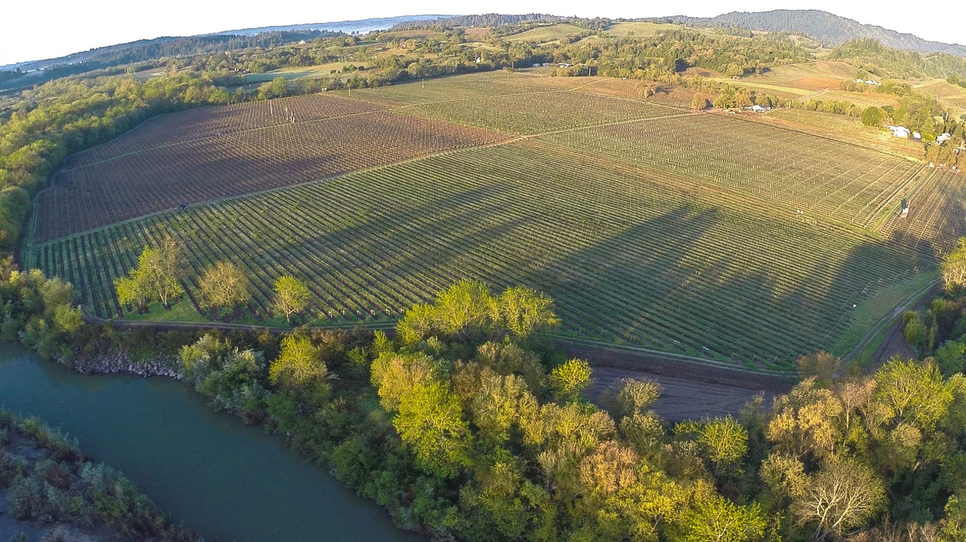 About Russian River Valley   Flyover 