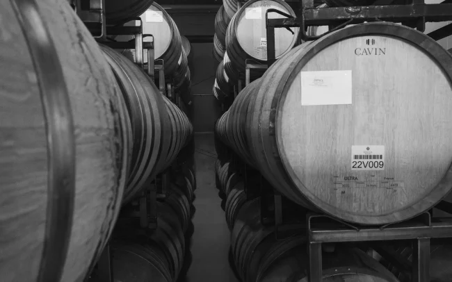 Benovia wine barrels