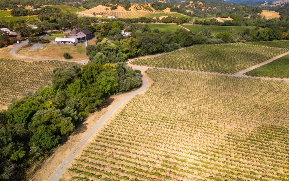 Aerial view over Russian River Valley, California