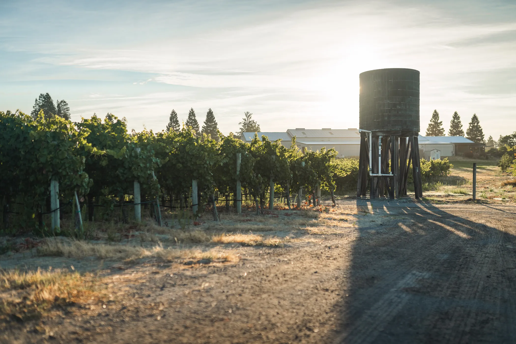 Emeritus Vineyards in Russian River Valley, California
