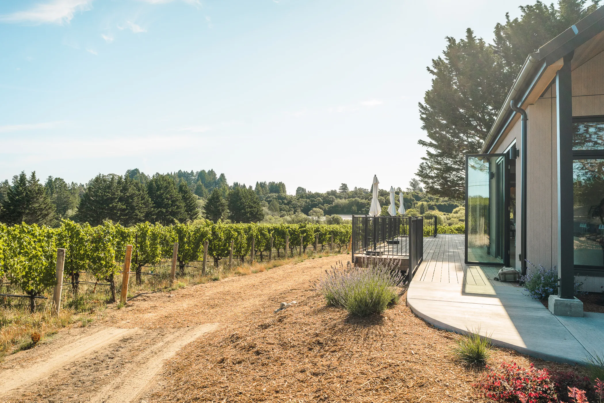 Best outdoor wine tasting with a vineyard view in Russian River Valley, California, Kanzler Vineyards