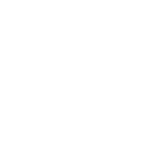 Protea Protea Financial