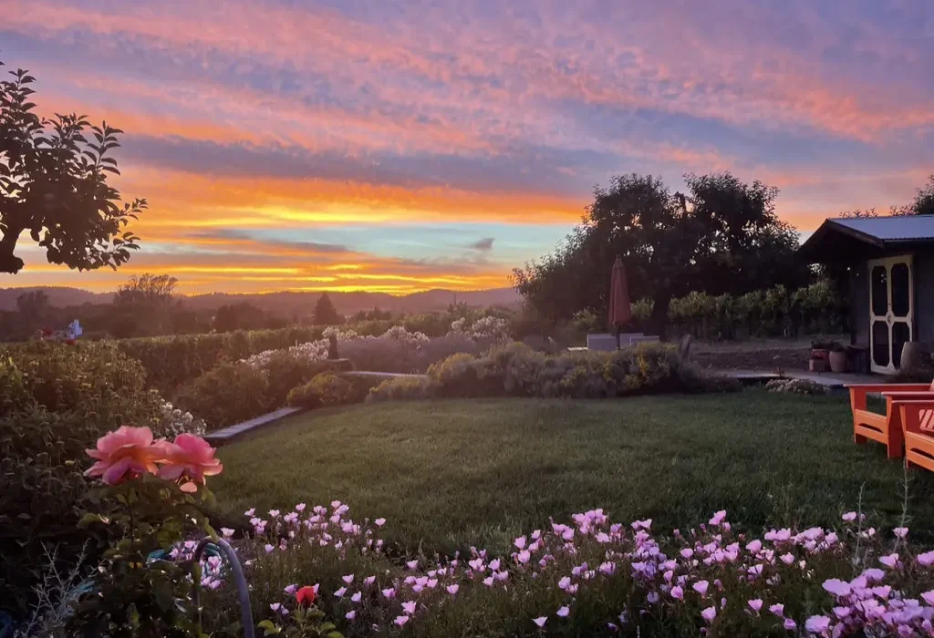 Sunset over The Dalya Estate with wildflowers in bloom