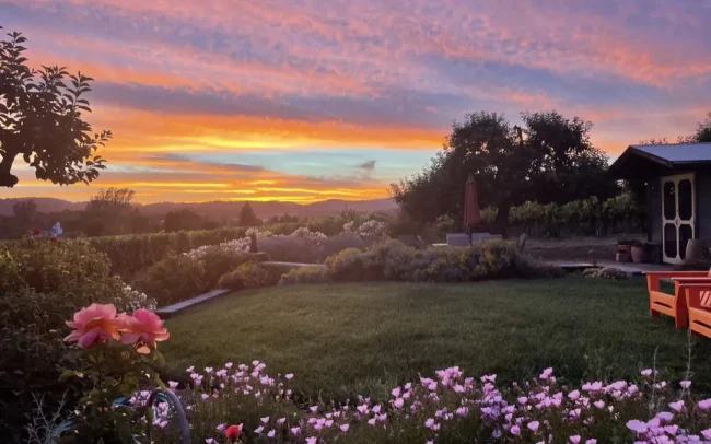 Sunset over The Dalya Estate with wildflowers in bloom