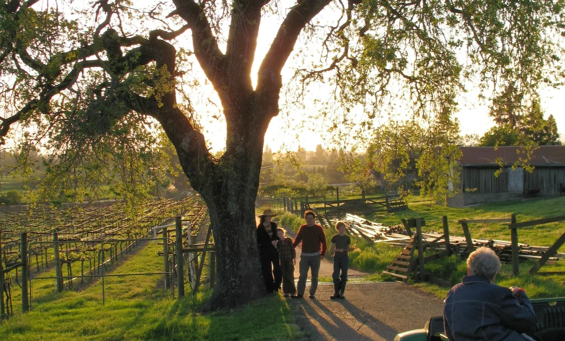 Ancient Oak Winery