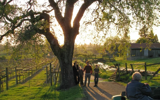 Ancient Oak Winery