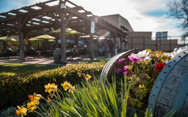 Balletto Vineyards tasting room