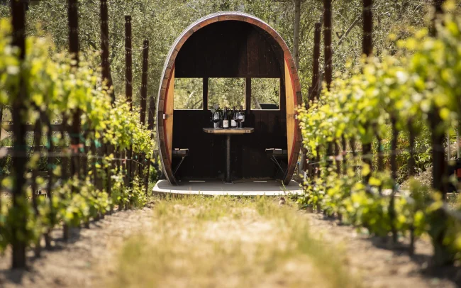 Private tasting in the vineyard at Martin Ray Vineyards & Winery