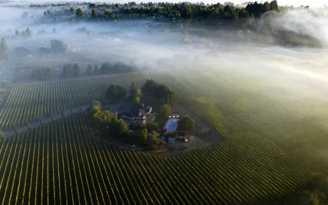Kanzler Vineyards in Russian River Valley, California