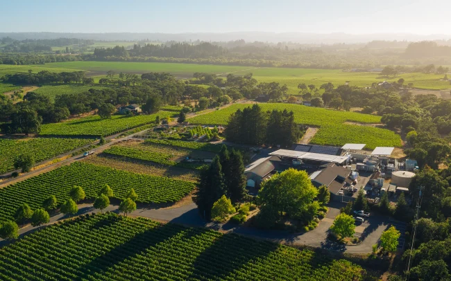 Aerial view of DeLoach Vineyards