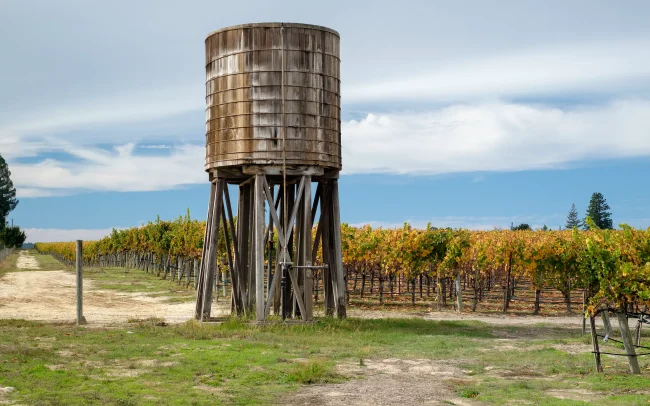 Hallberg Ranch, Emeritus Vineyards