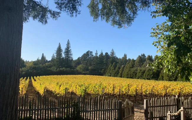 Gantz Family Vineyards