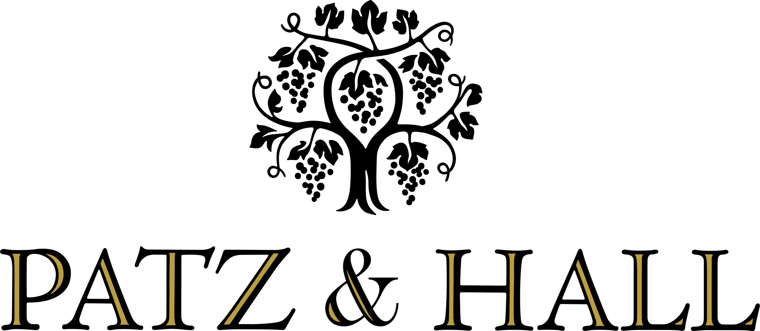 PATZ_&_HALL_LOCKUP_COLOR – Gus Slagle Patz & Hall logo