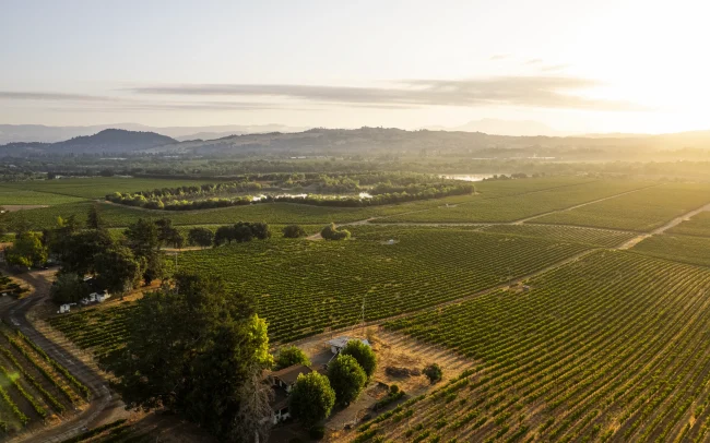 Aerial view of Davis Bynum Vineyards in Russian River Valley, California