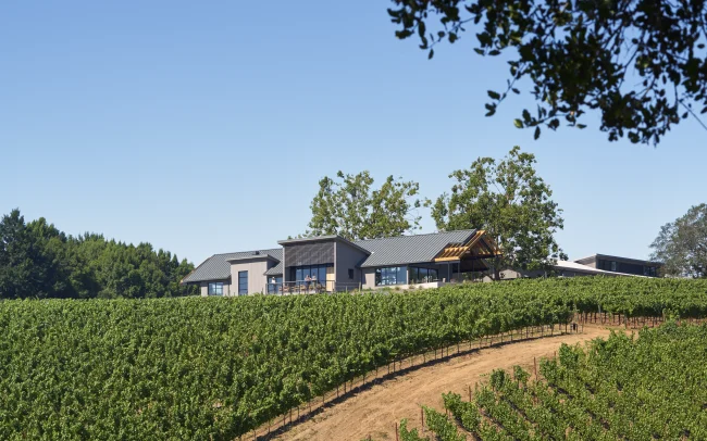 View of MacRostie Winery & Vineyards