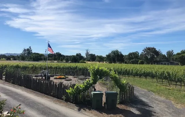 Betty Ann Vineyard