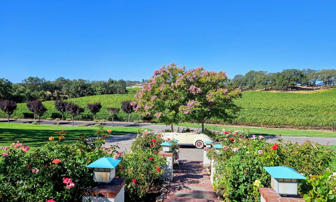 Starr Lake Vineyards