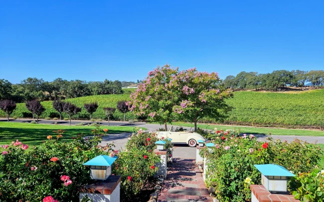 Starr Lake Vineyards