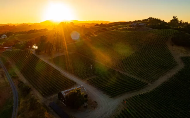 Aerial view of sunrise over Bell Summe Vineyard
