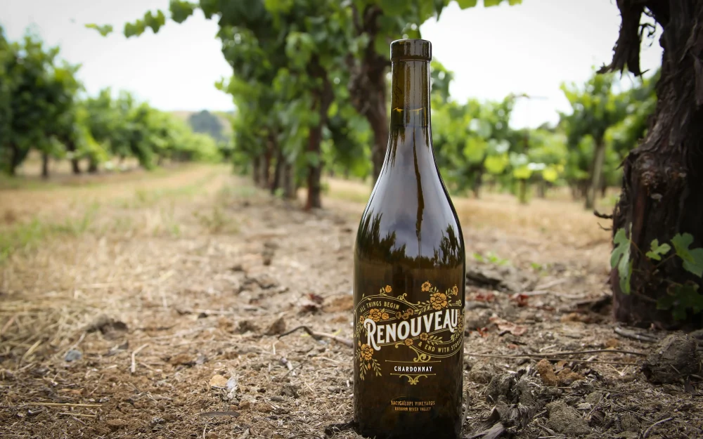 Bottle of Bacigalupi wine in the vineyard