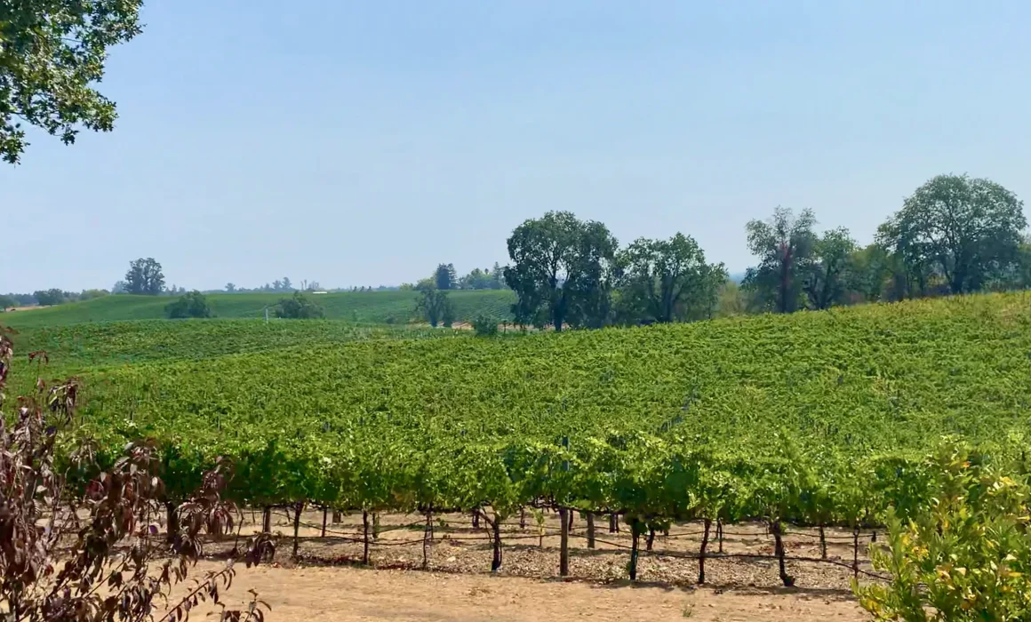 Four Palms Farm in Russian River Valley, California