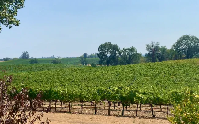 Four Palms Farm in Russian River Valley, California