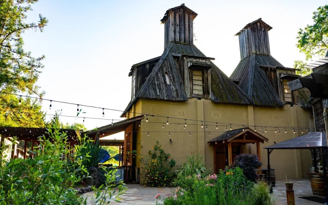 Russian River Vineyards