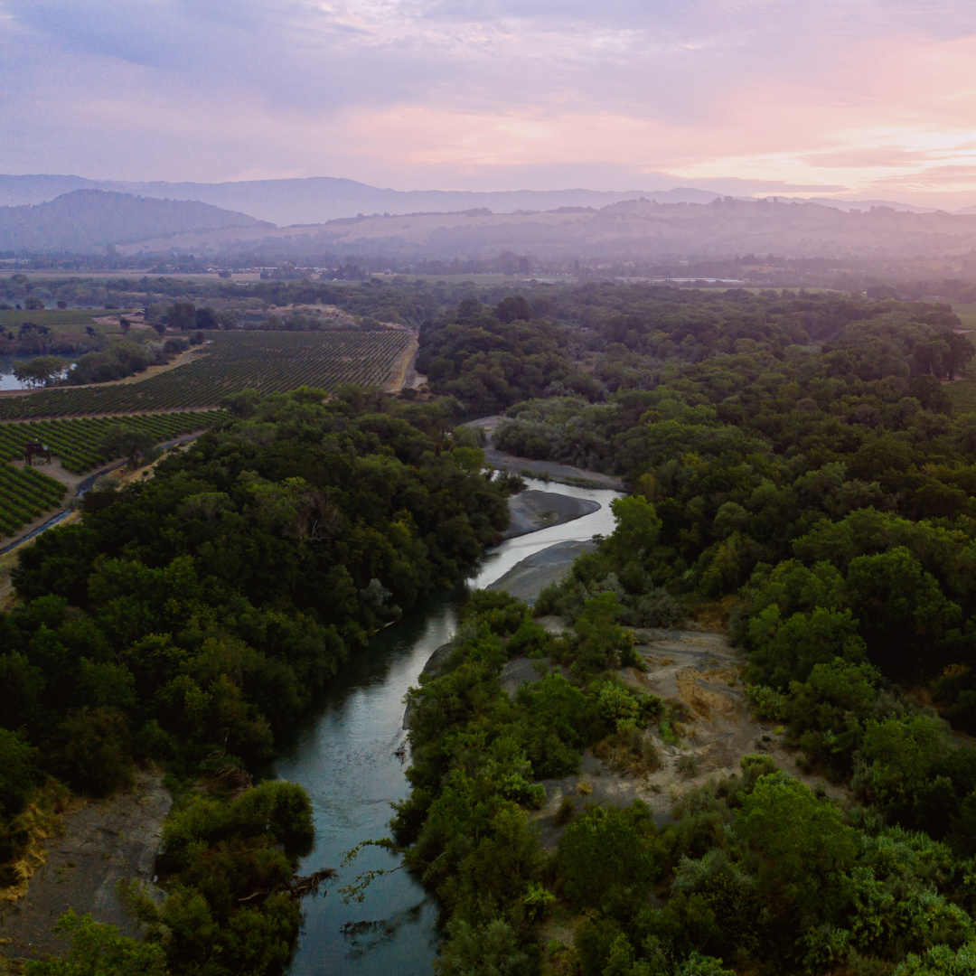 THE RIVER